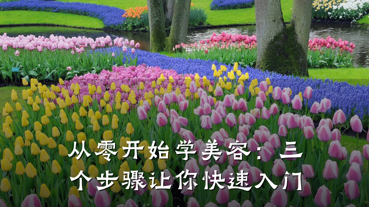 从零开始学美容:三个步骤让你快速入门