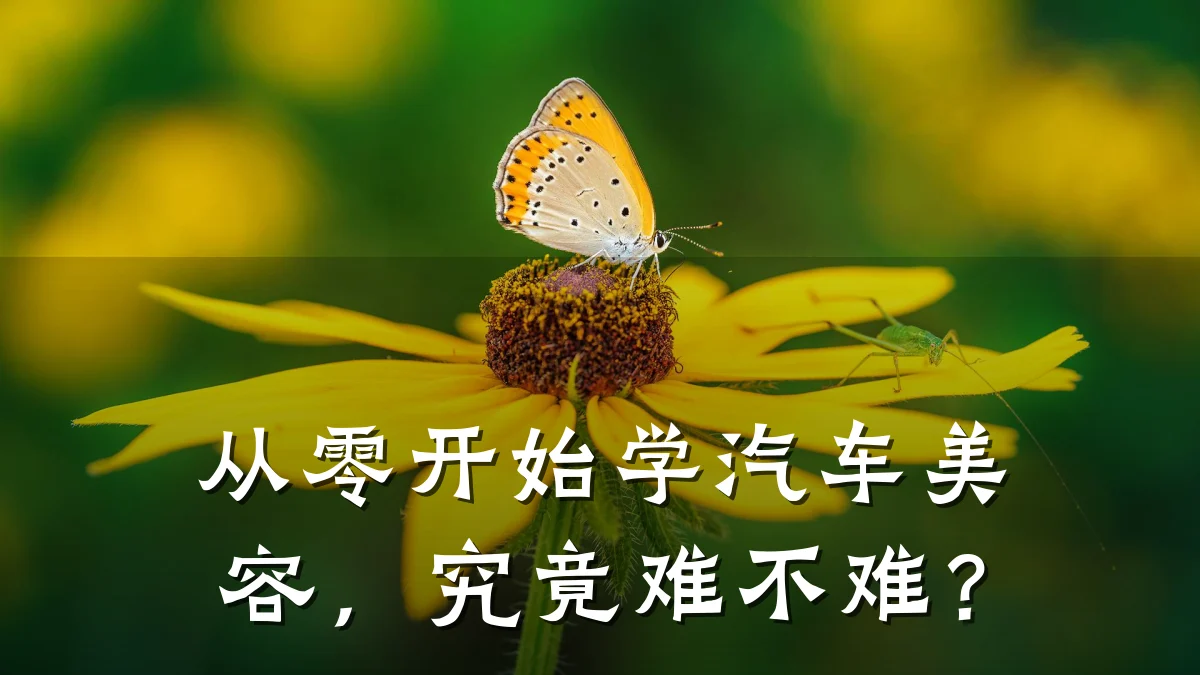 从零开始学汽车美容，究竟难不难？