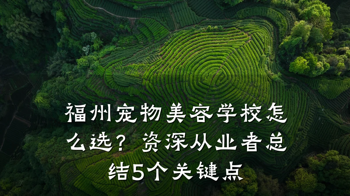 福州宠物美容学校怎么选？资深从业者总结5个关键点