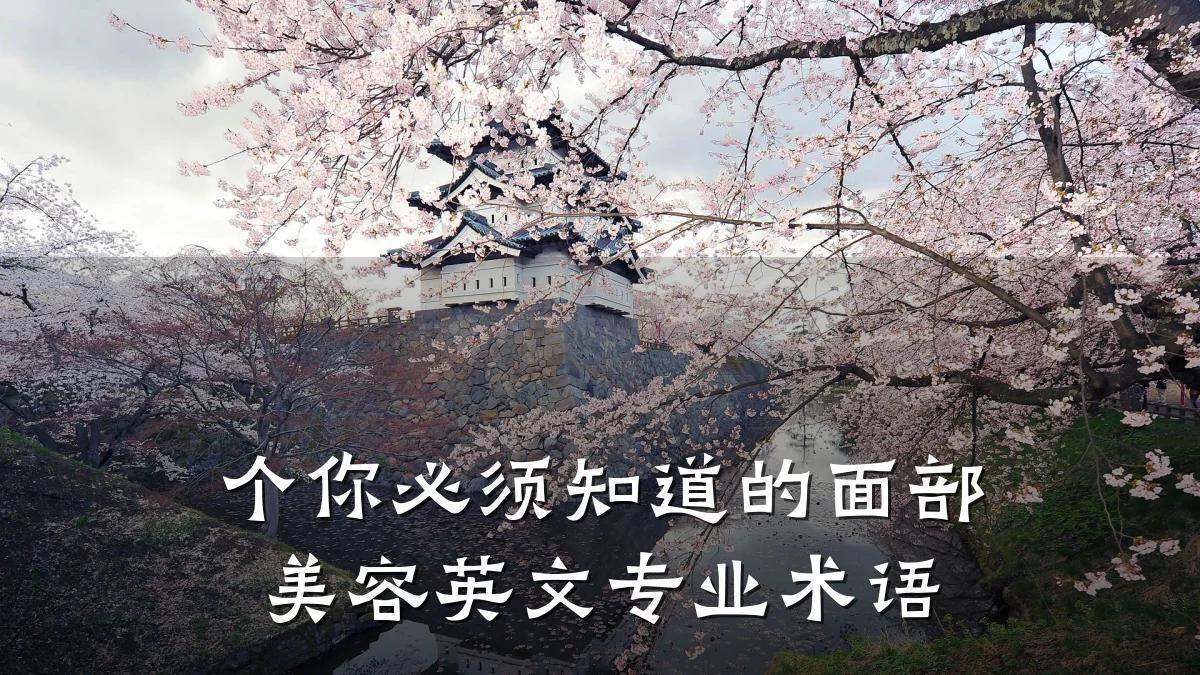 个你必须知道的面部美容英文专业术语