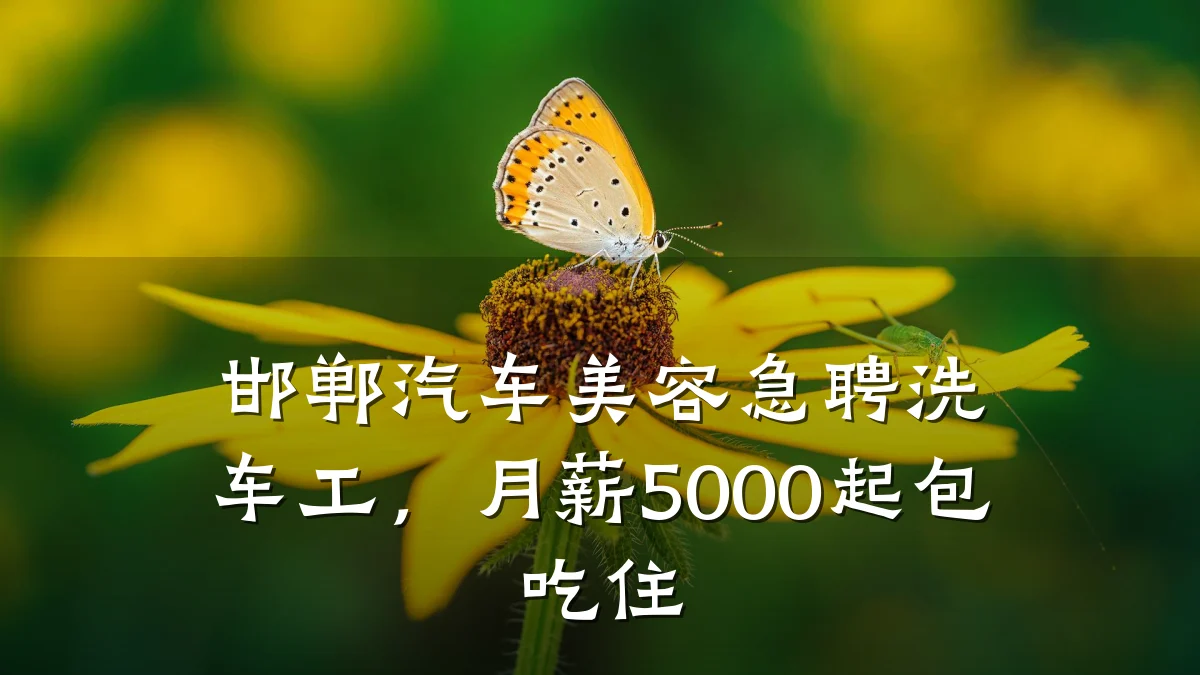 邯郸汽车美容急聘洗车工,月薪5000起包吃住