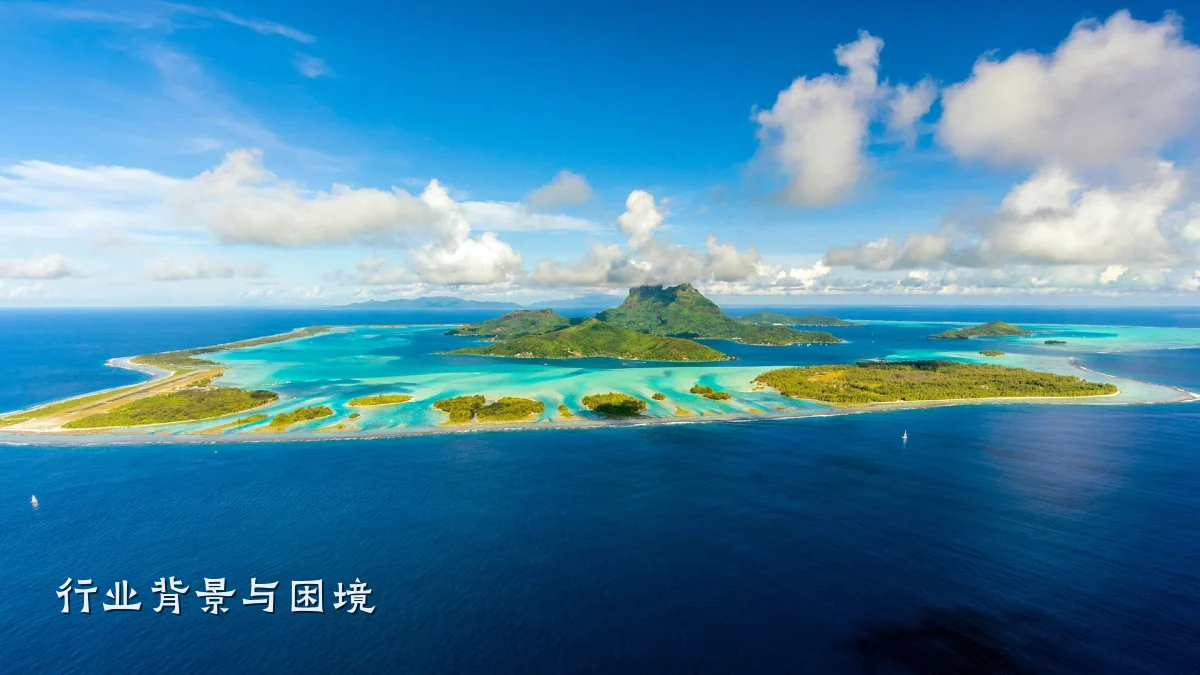 行业背景与困境