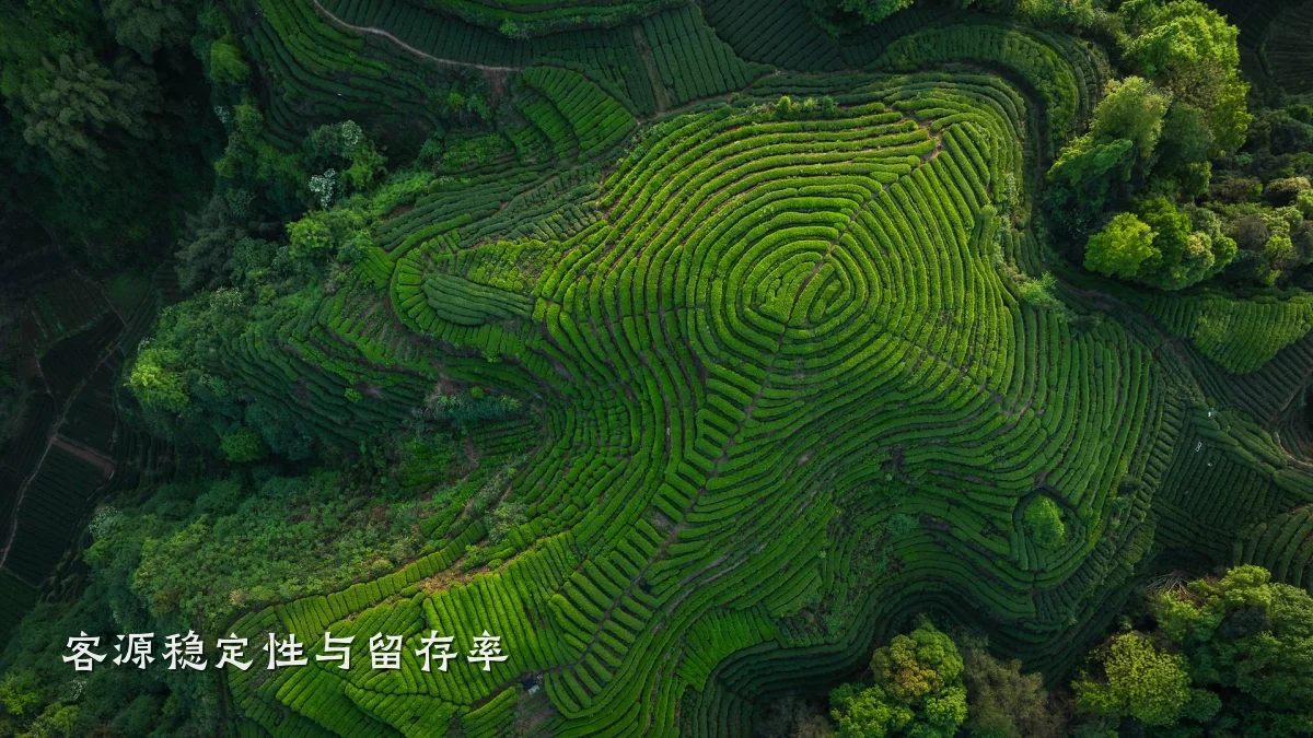 客源稳定性与留存率