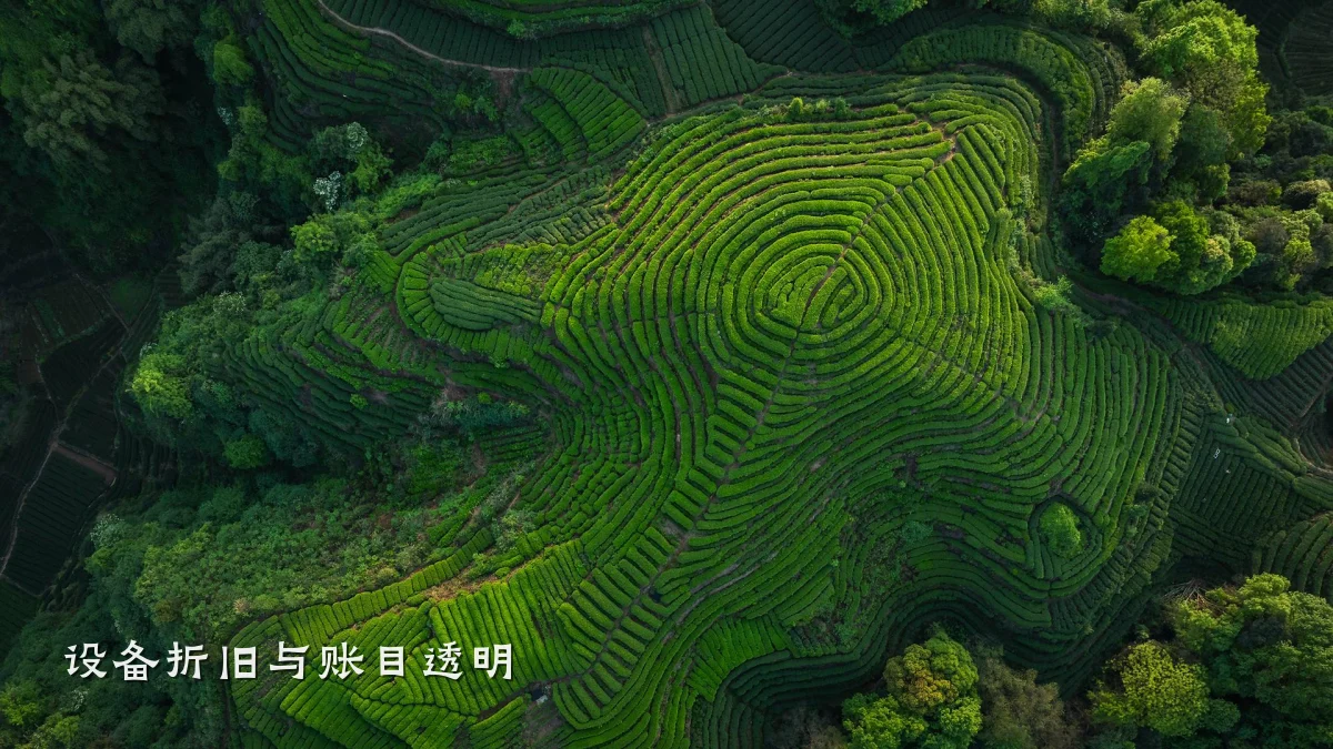 设备折旧与账目透明