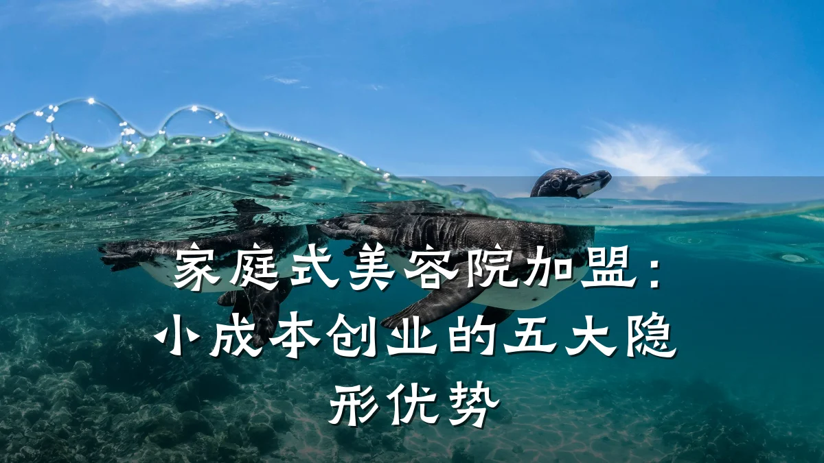 家庭式美容院加盟:小成本创业的五大隐形优势