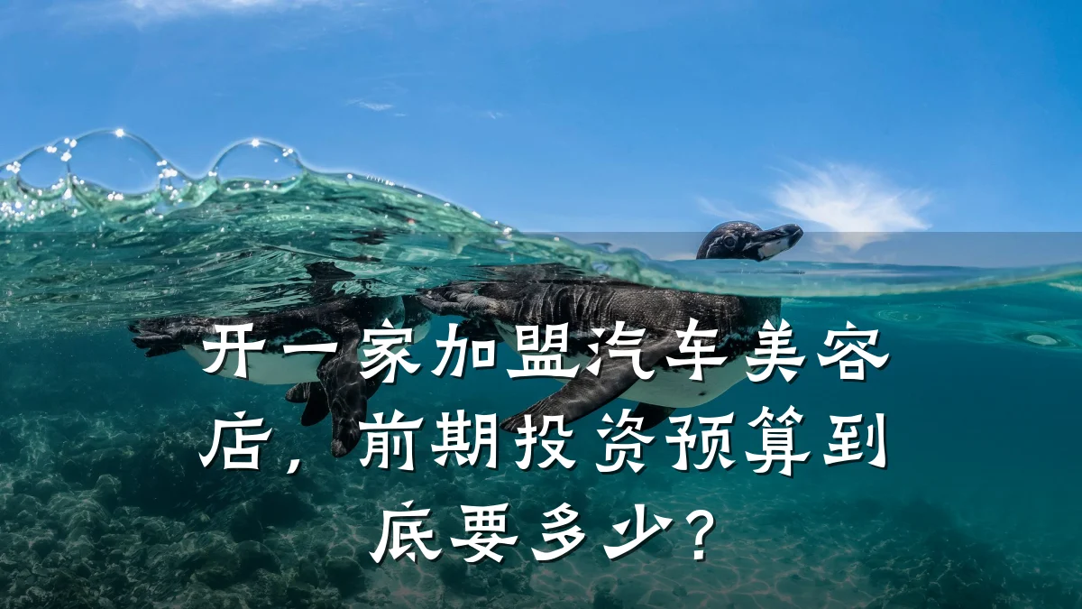 开一家加盟汽车美容店,前期投资预算到底要多少?