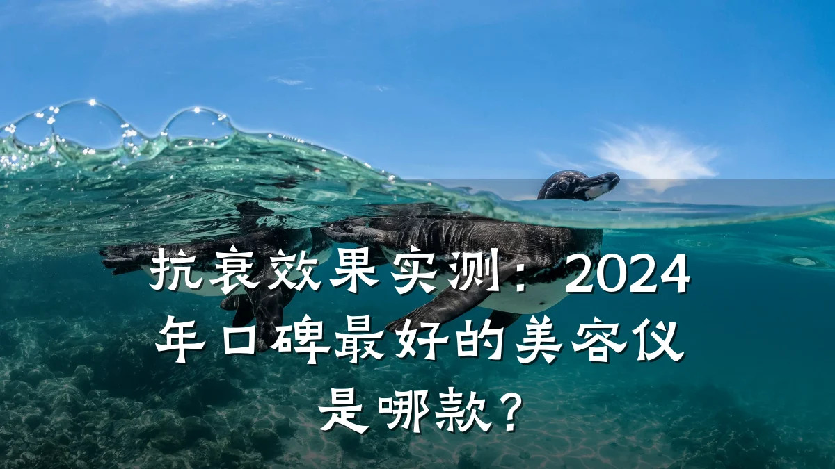 抗衰效果实测:2024年口碑最好的美容仪是哪款?