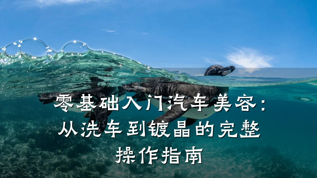 零基础入门汽车美容:从洗车到镀晶的完整操作指南