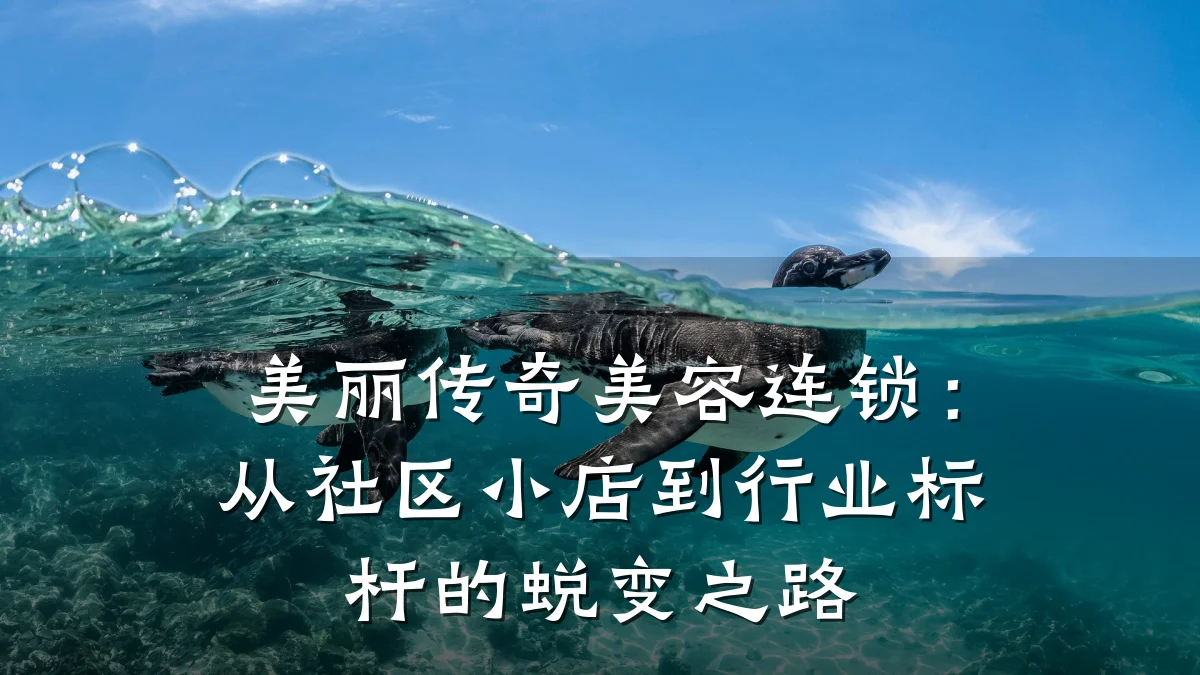美丽传奇美容连锁：从社区小店到行业标杆的蜕变之路