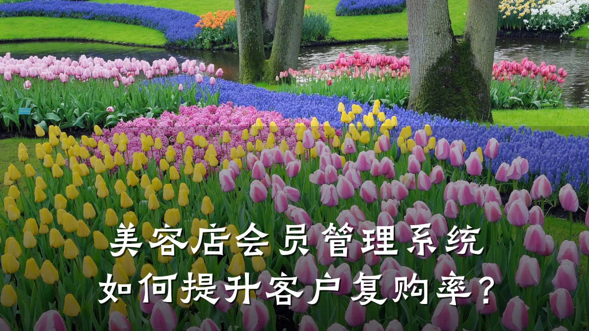 美容店会员管理系统如何提升客户复购率?
