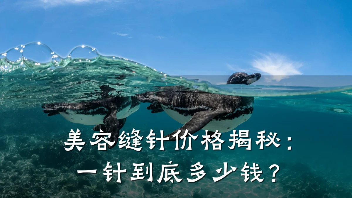 美容缝针价格揭秘:一针到底多少钱?