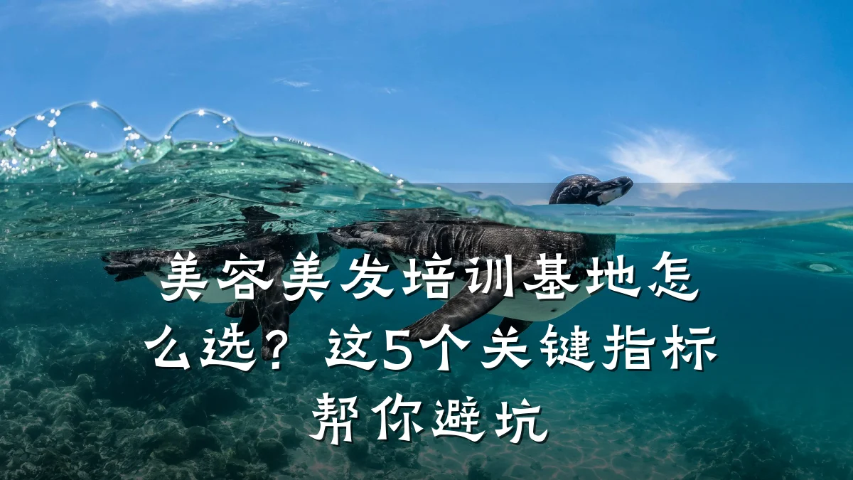 美容美发培训基地怎么选?这5个关键指标帮你避坑