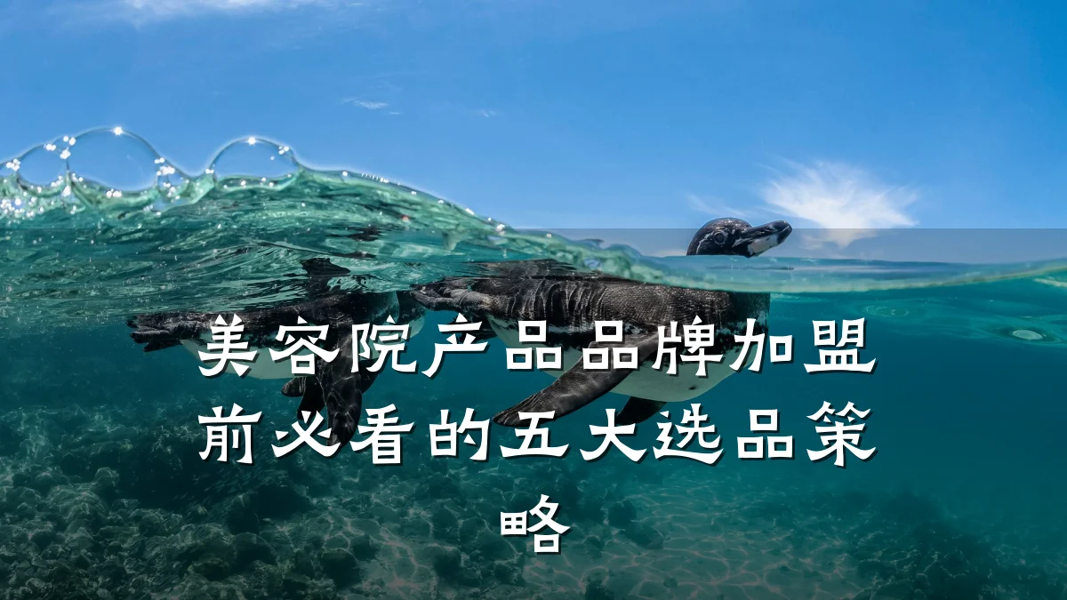 美容院产品品牌加盟前必看的五大选品策略