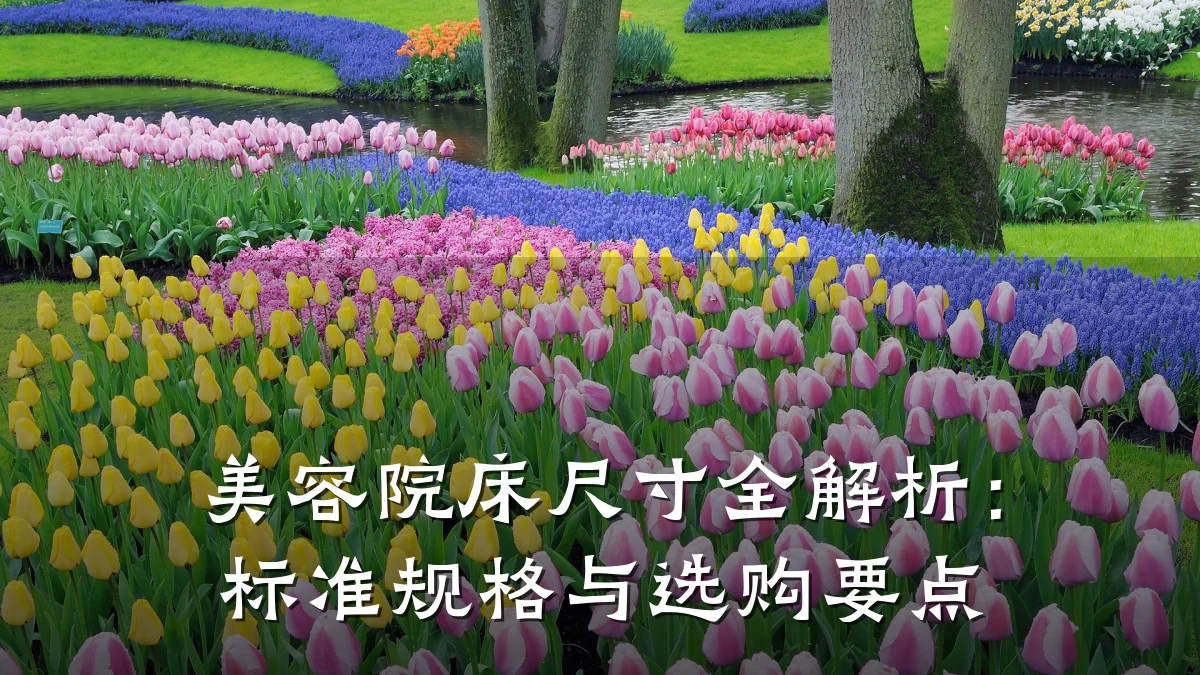 美容院床尺寸全解析:标准规格与选购要点