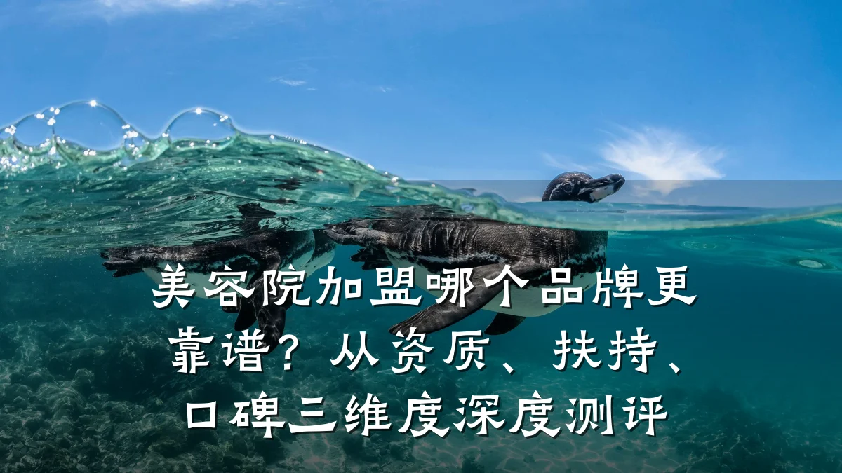 美容院加盟哪个品牌更靠谱?从资质、扶持、口碑三维度深度测评