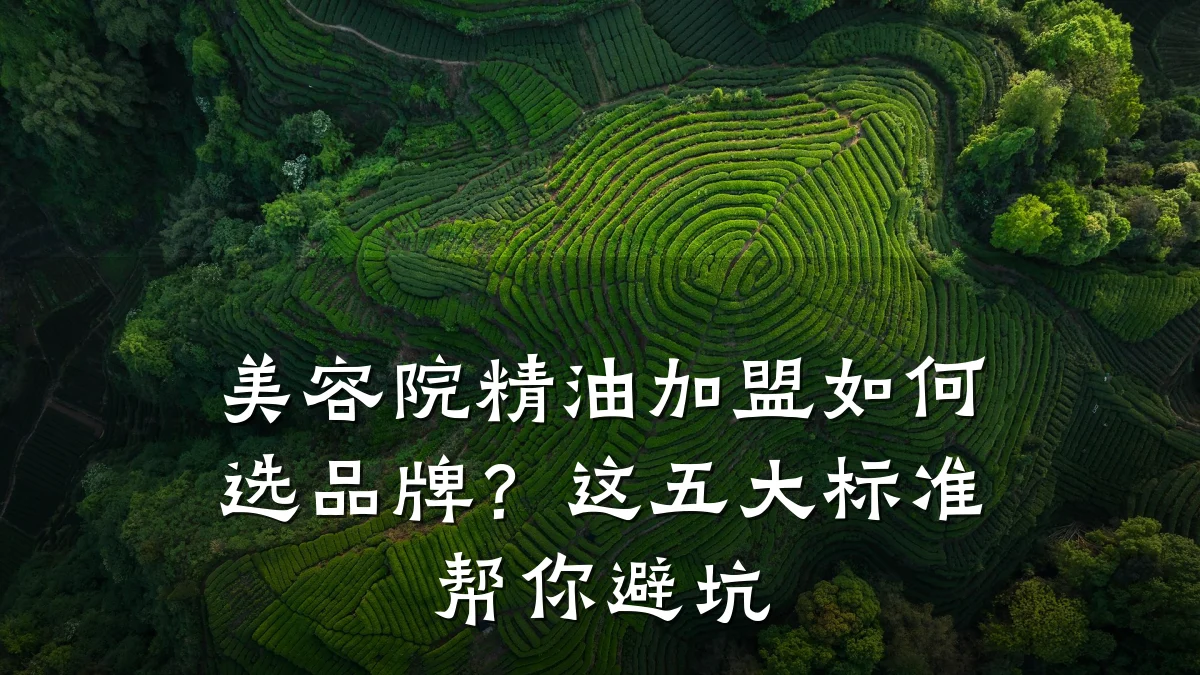 美容院精油加盟如何选品牌?这五大标准帮你避坑