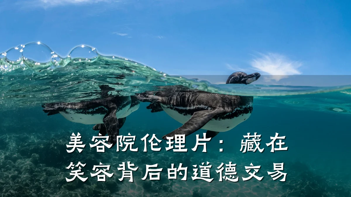美容院伦理片:藏在笑容背后的道德交易