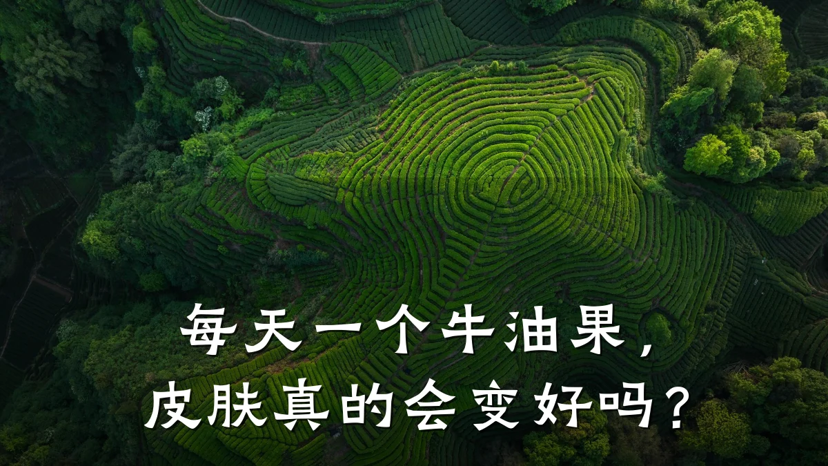 每天一个牛油果,皮肤真的会变好吗?