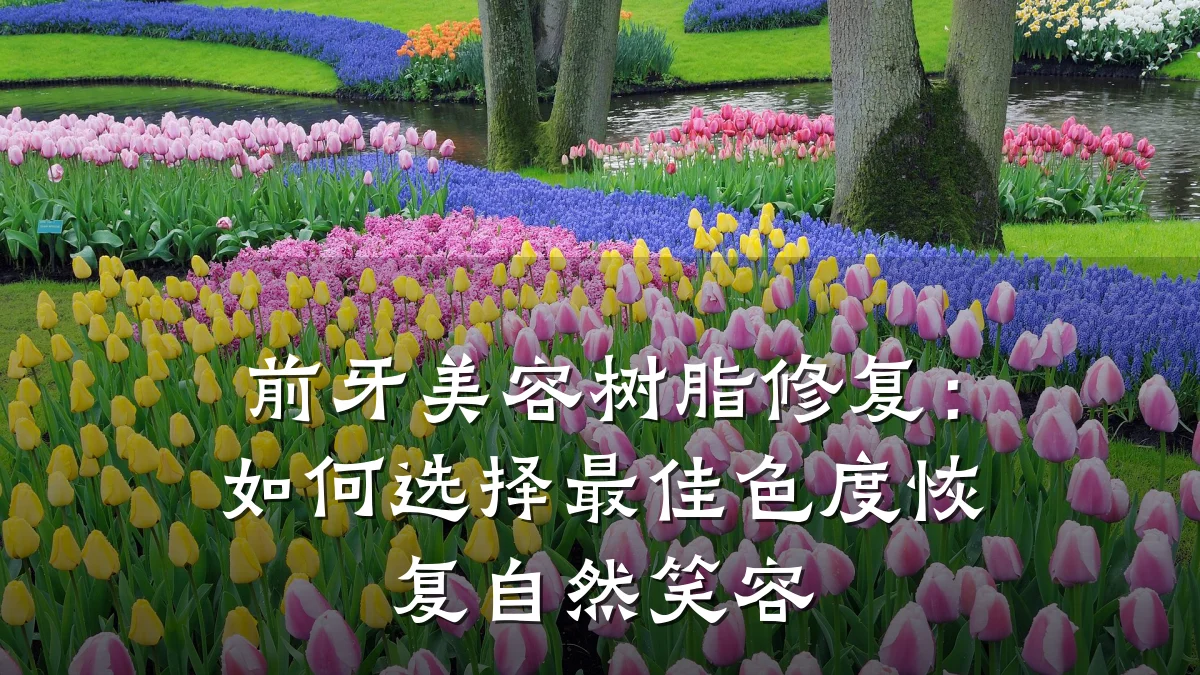 前牙美容树脂修复:如何选择最佳色度恢复自然笑容