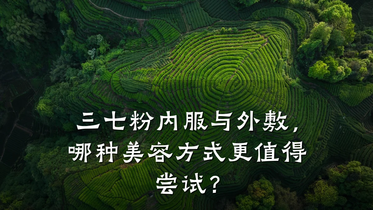 三七粉内服与外敷,哪种美容方式更值得尝试?