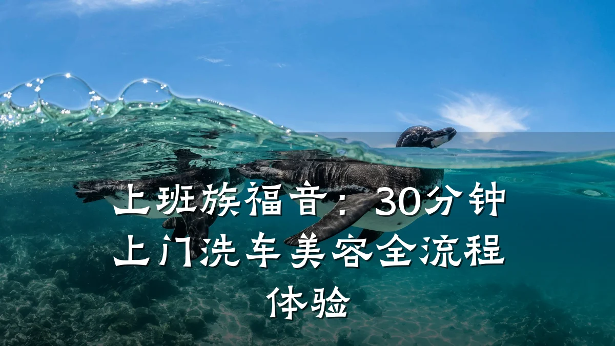 上班族福音:30分钟上门洗车美容全流程体验