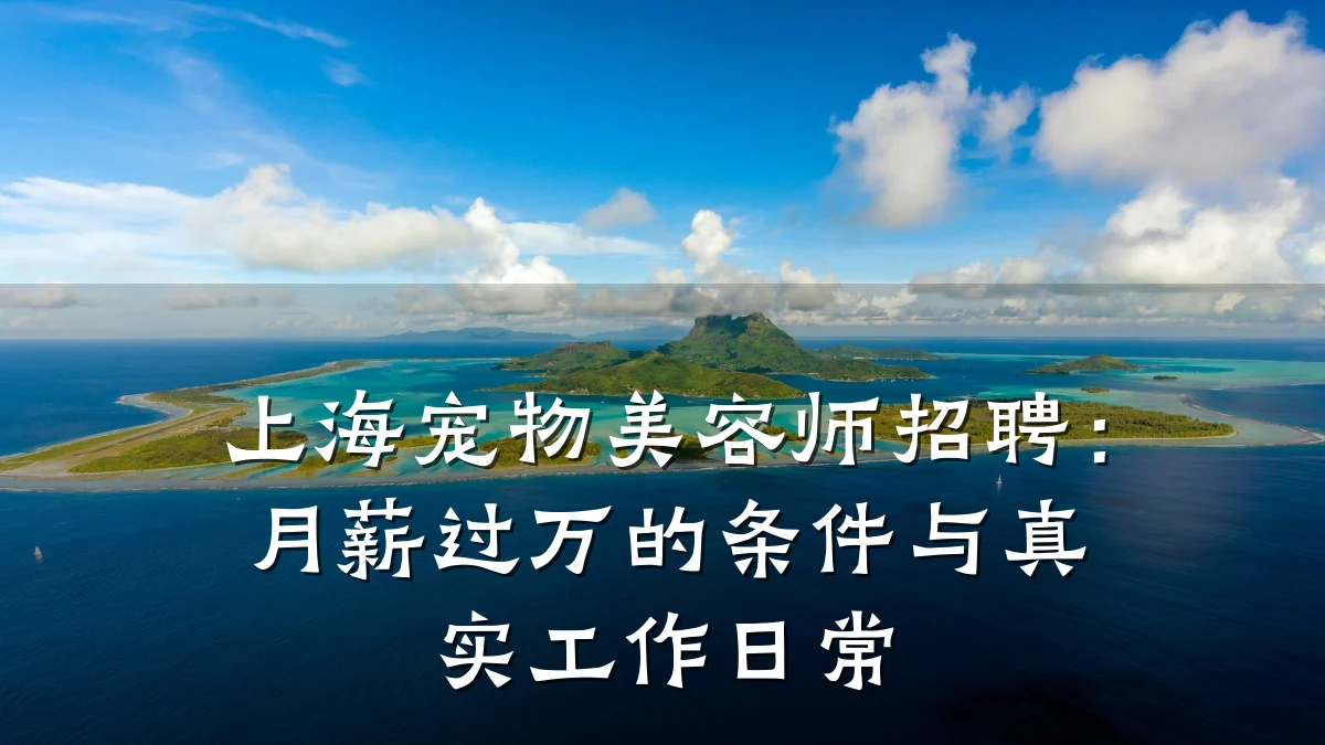上海宠物美容师招聘:月薪过万的条件与真实工作日常