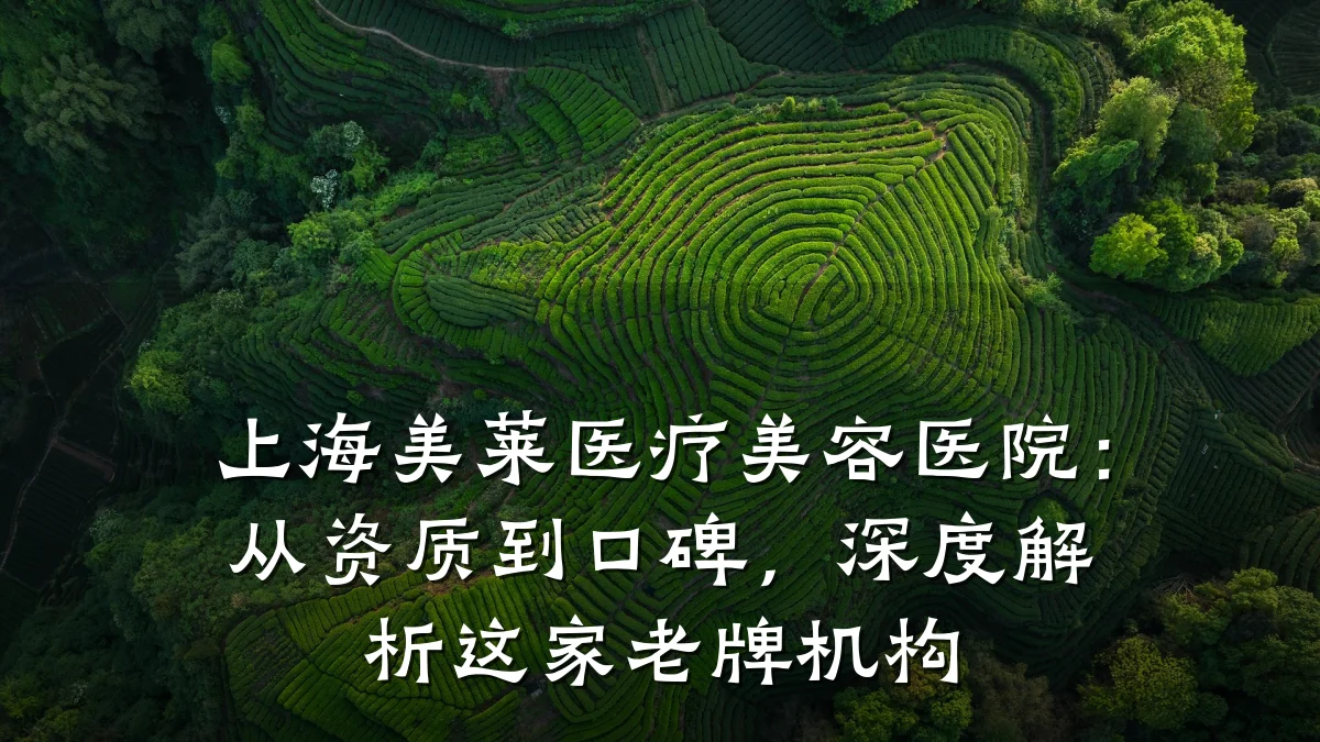 上海美莱医疗美容医院:从资质到口碑,深度解析这家老牌机构
