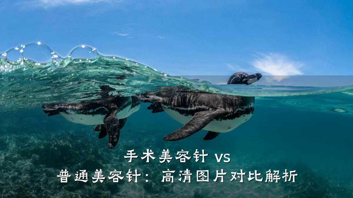 手术美容针 vs 普通美容针:高清图片对比解析