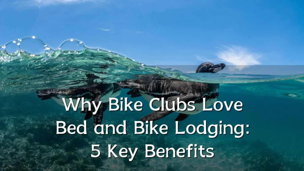 Why Bike Clubs Love Bed and Bike Lodging: 5 Key Benefits