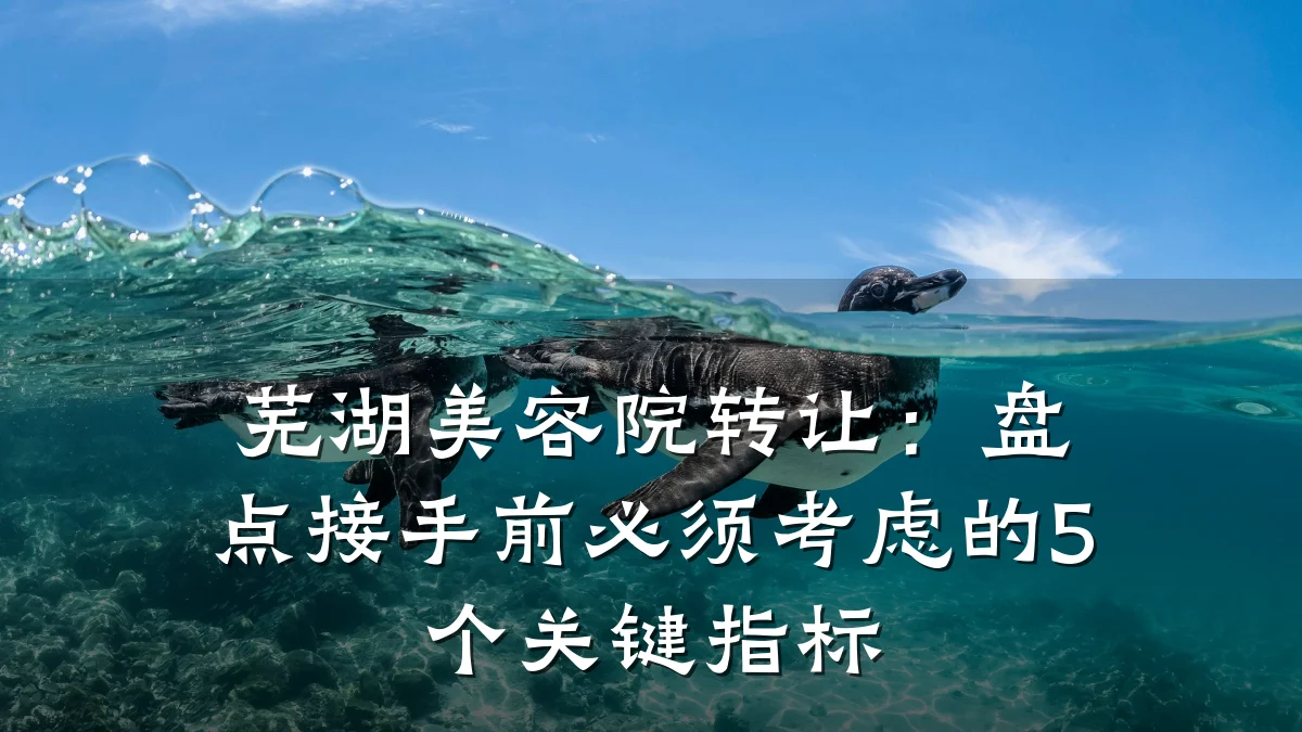 芜湖美容院转让:盘点接手前必须考虑的5个关键指标