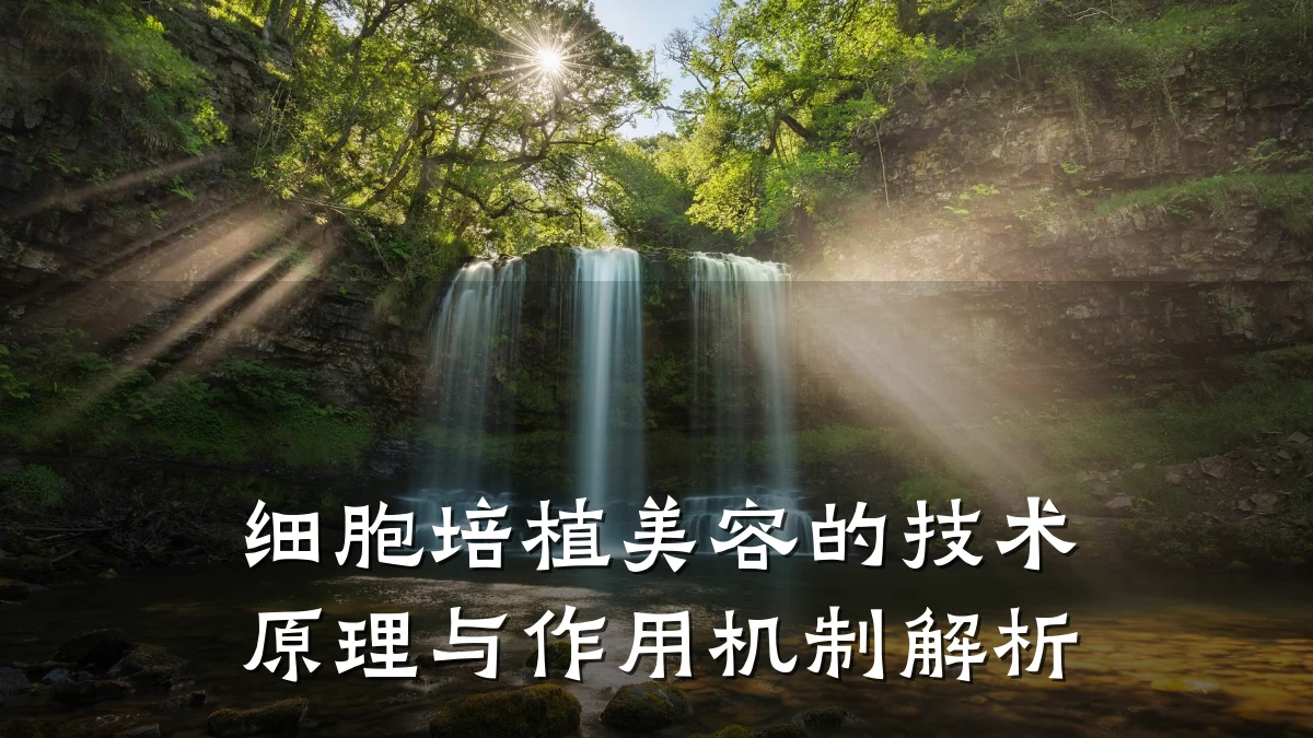 细胞培植美容的技术原理与作用机制解析