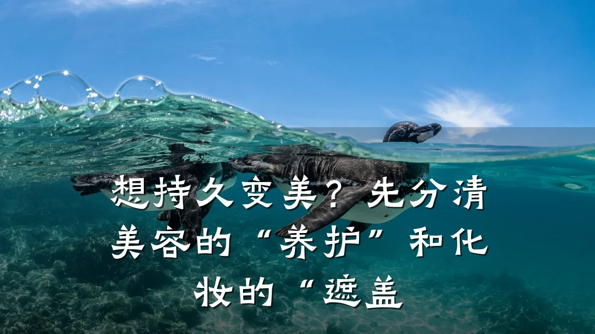 想持久变美?先分清美容的“养护”和化妆的“遮盖