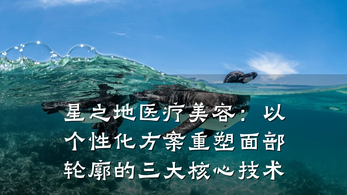 星之地医疗美容:以个性化方案重塑面部轮廓的三大核心技术