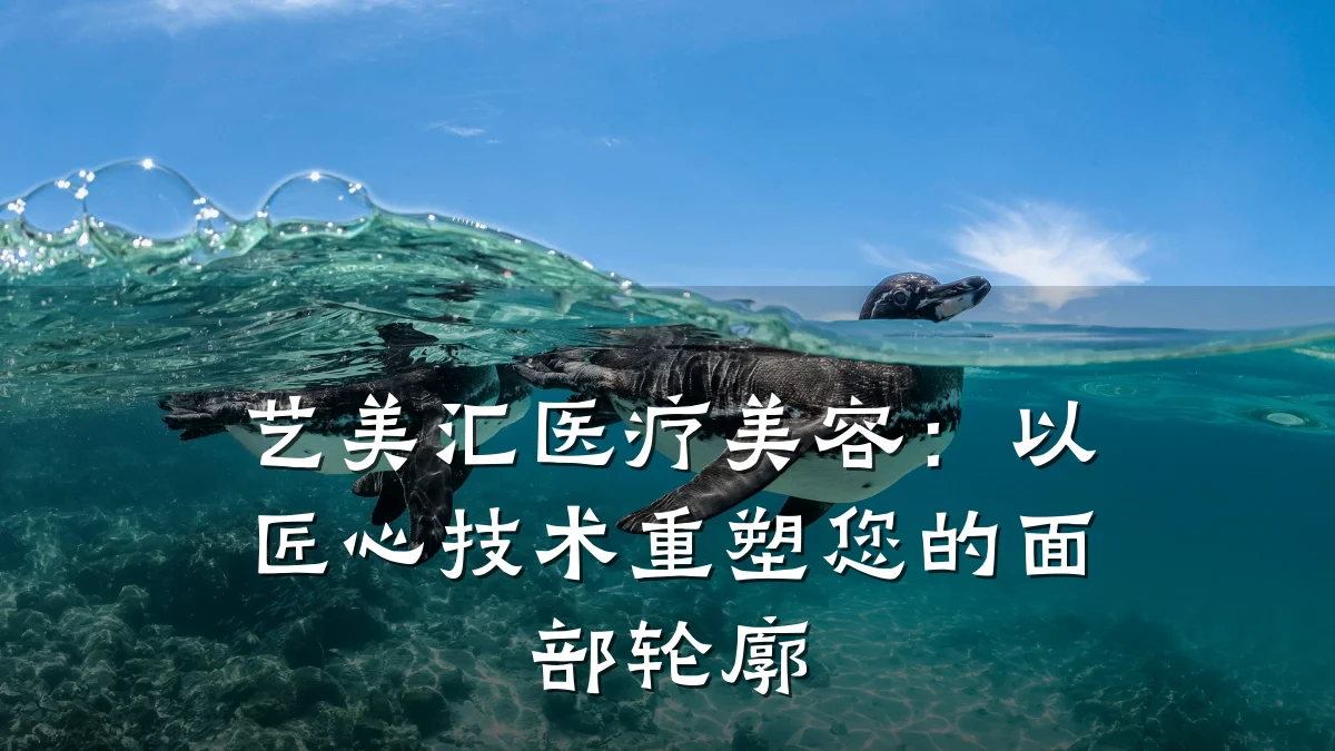 艺美汇医疗美容:以匠心技术重塑您的面部轮廓