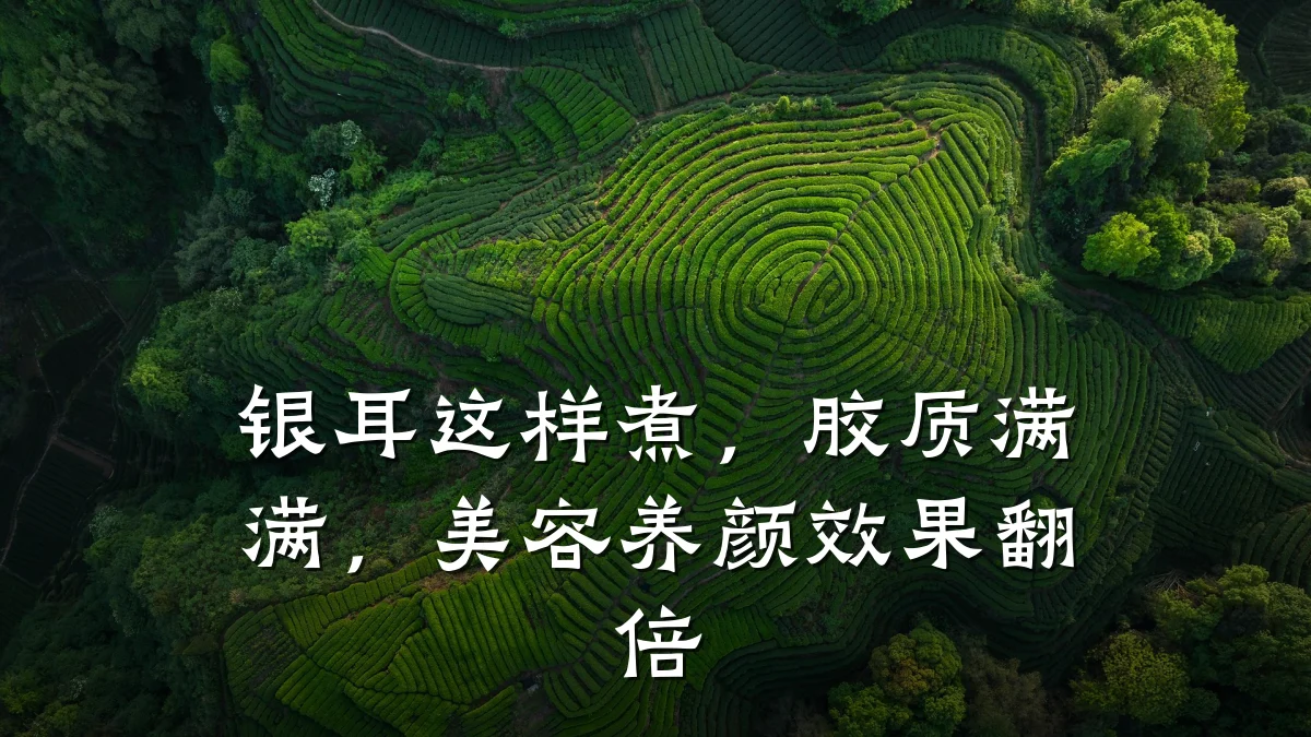 银耳这样煮,胶质满满,美容养颜效果翻倍