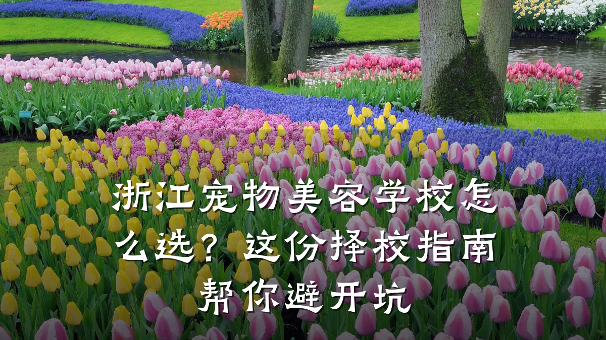 浙江宠物美容学校怎么选?这份择校指南帮你避开坑