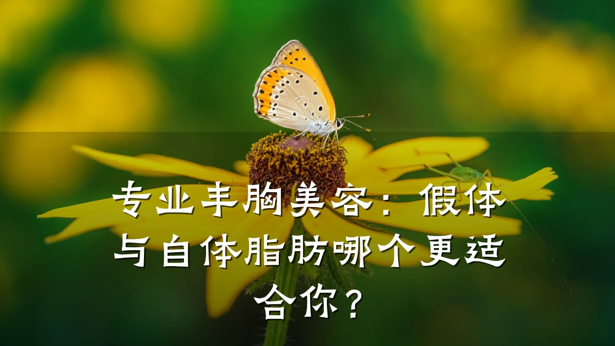 专业丰胸美容:假体与自体脂肪哪个更适合你?