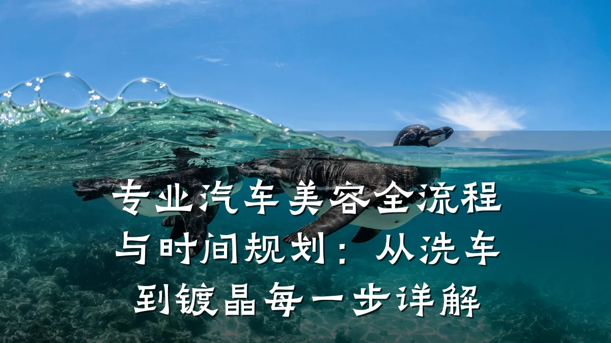 专业汽车美容全流程与时间规划:从洗车到镀晶每一步详解