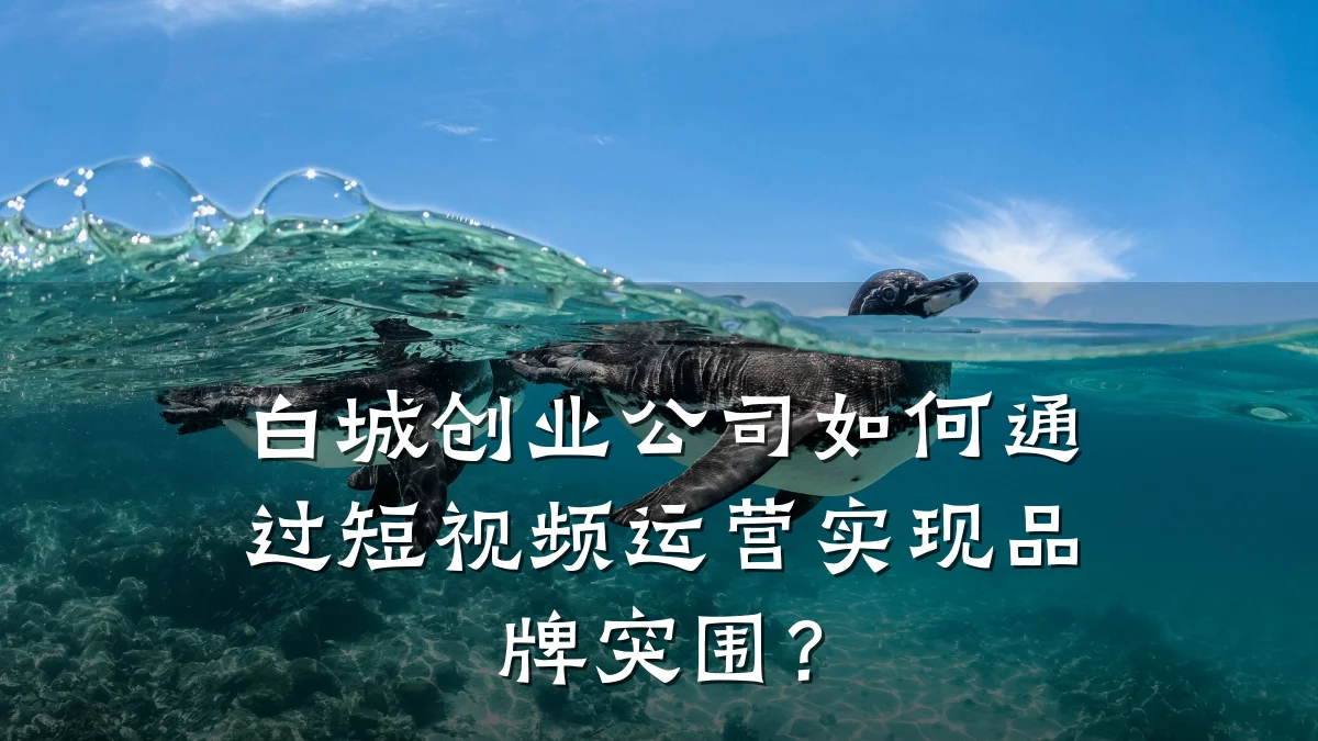 白城创业公司如何通过短视频运营实现品牌突围?