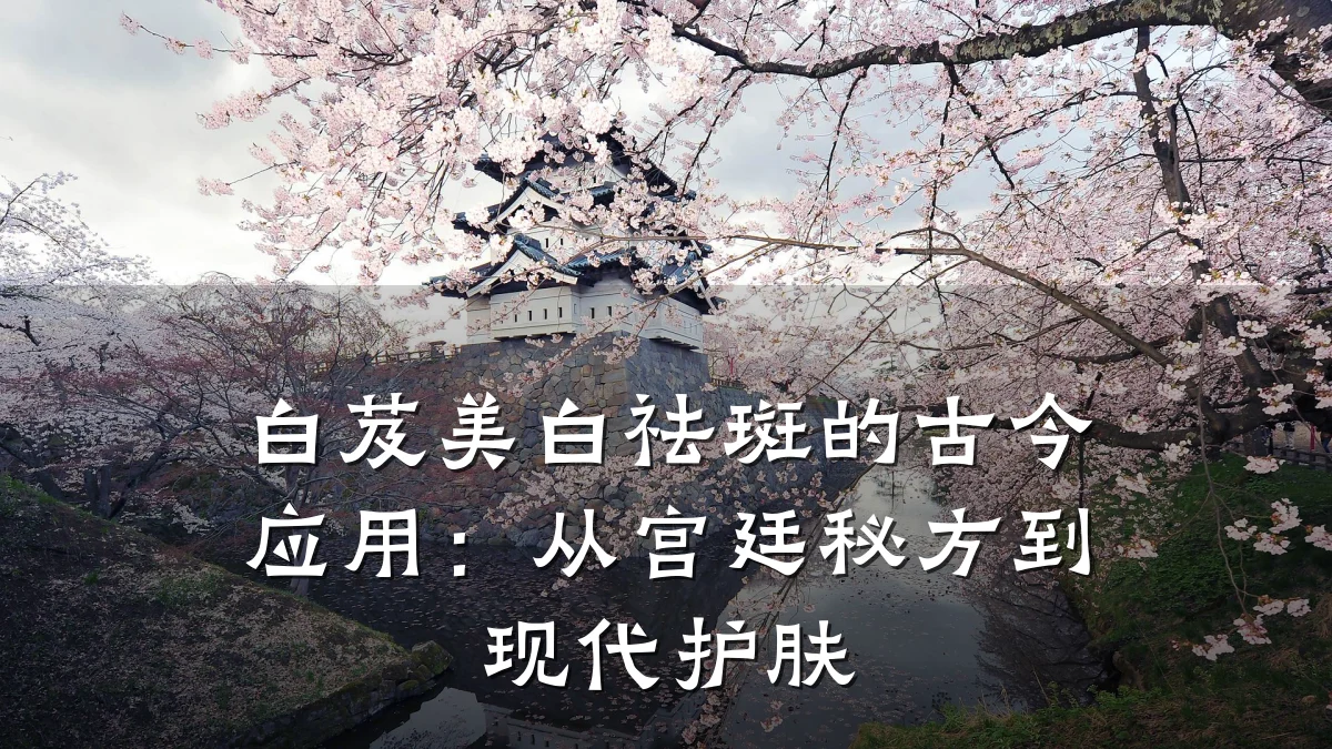 白芨美白祛斑的古今应用:从宫廷秘方到现代护肤
