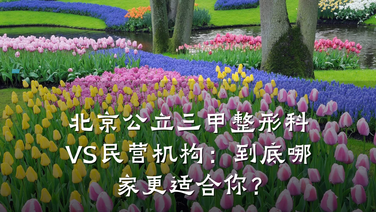 北京公立三甲整形科VS民营机构:到底哪家更适合你?