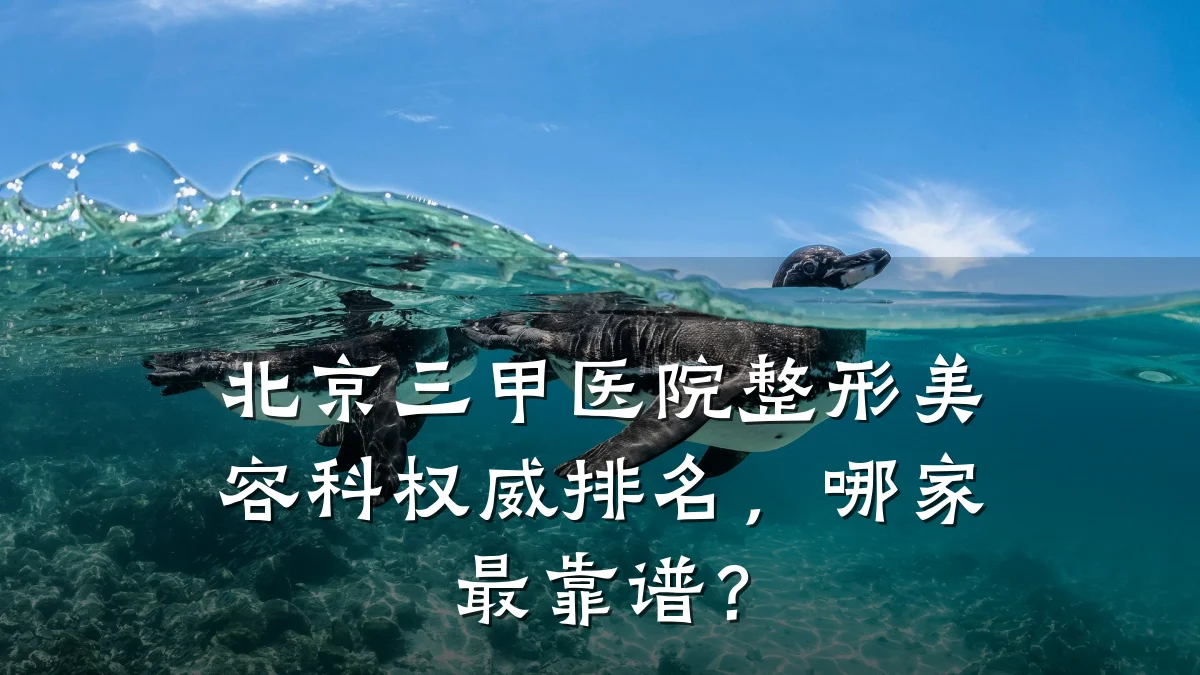 北京三甲医院整形美容科权威排名,哪家最靠谱?