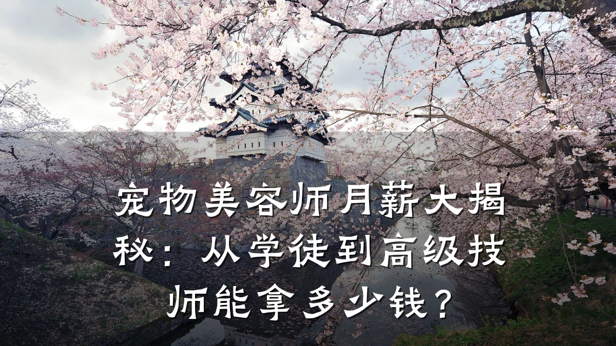 宠物美容师月薪大揭秘:从学徒到高级技师能拿多少钱?