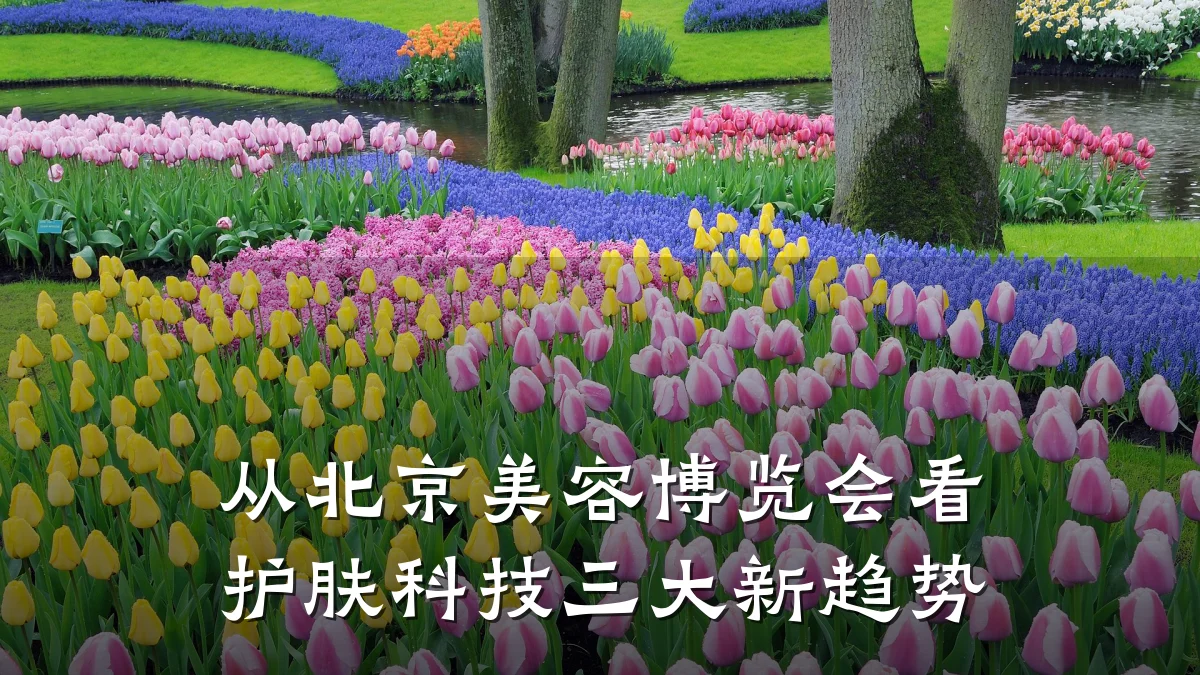 从北京美容博览会看护肤科技三大新趋势