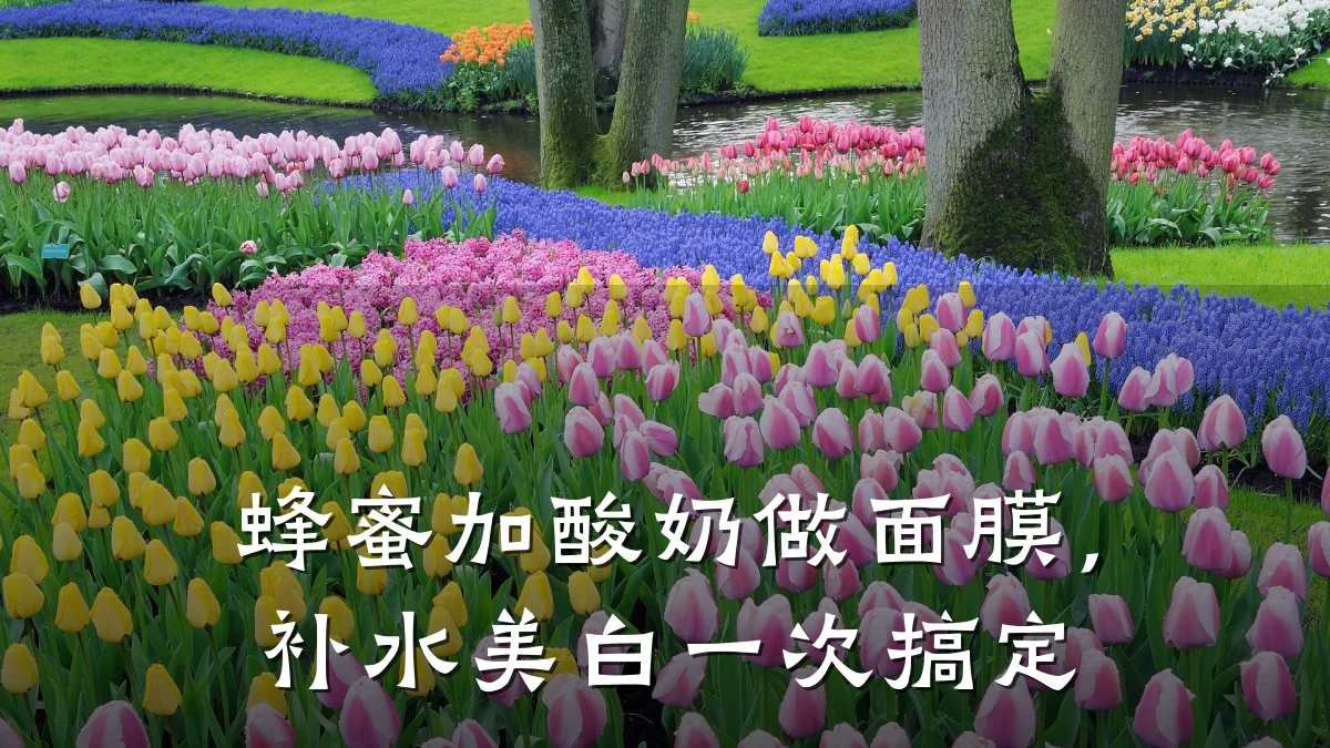 蜂蜜加酸奶做面膜,补水美白一次搞定