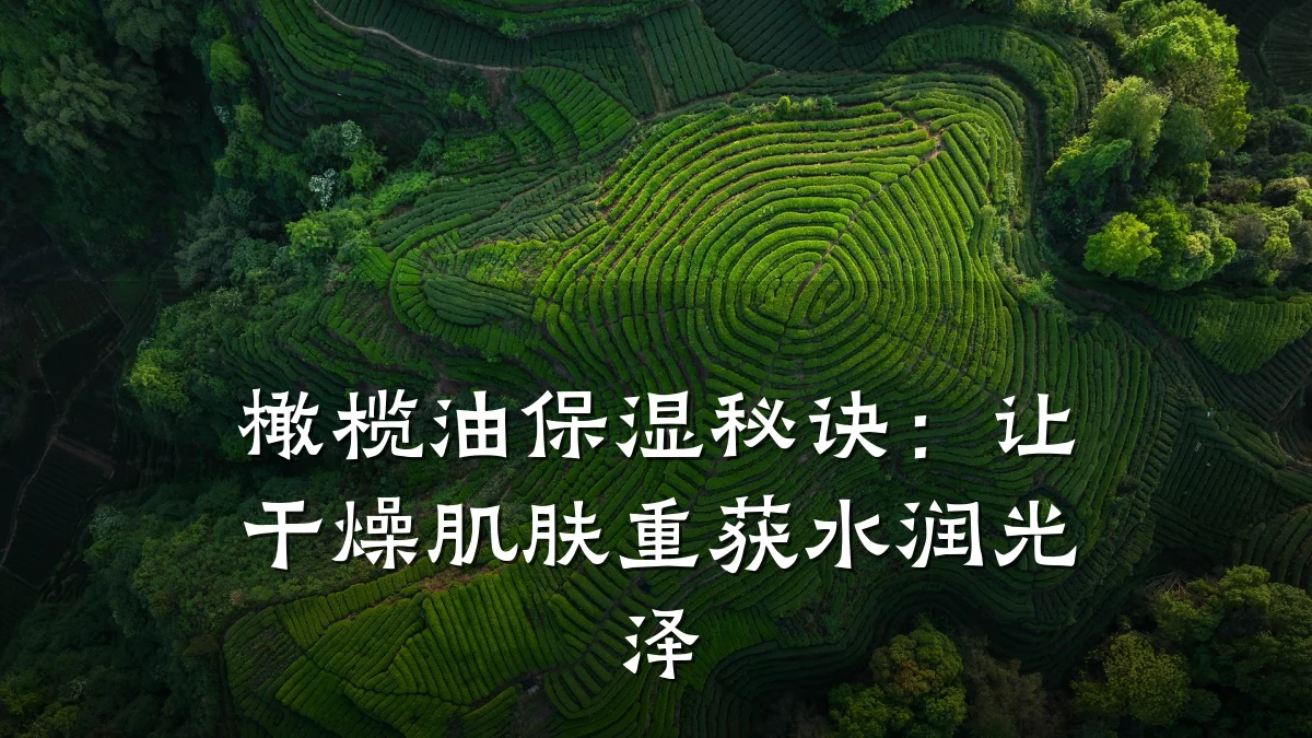 橄榄油保湿秘诀:让干燥肌肤重获水润光泽