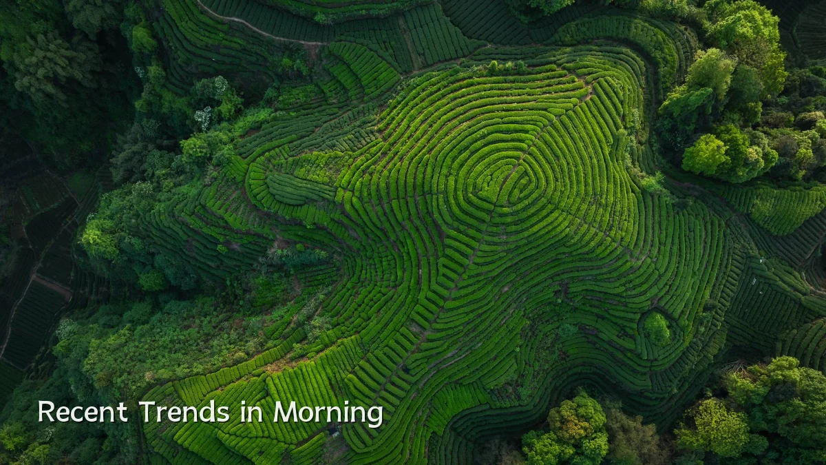 Recent Trends in Morning