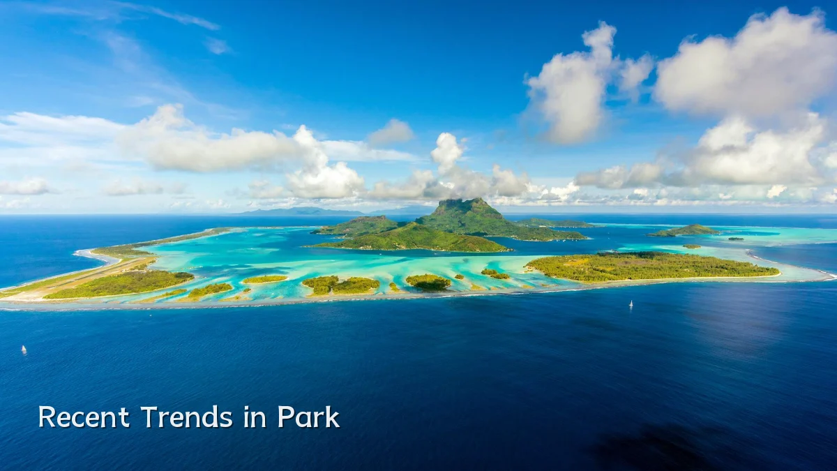 Recent Trends in Park