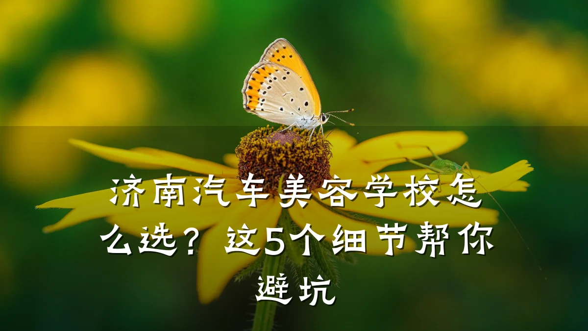 济南汽车美容学校怎么选？这5个细节帮你避坑