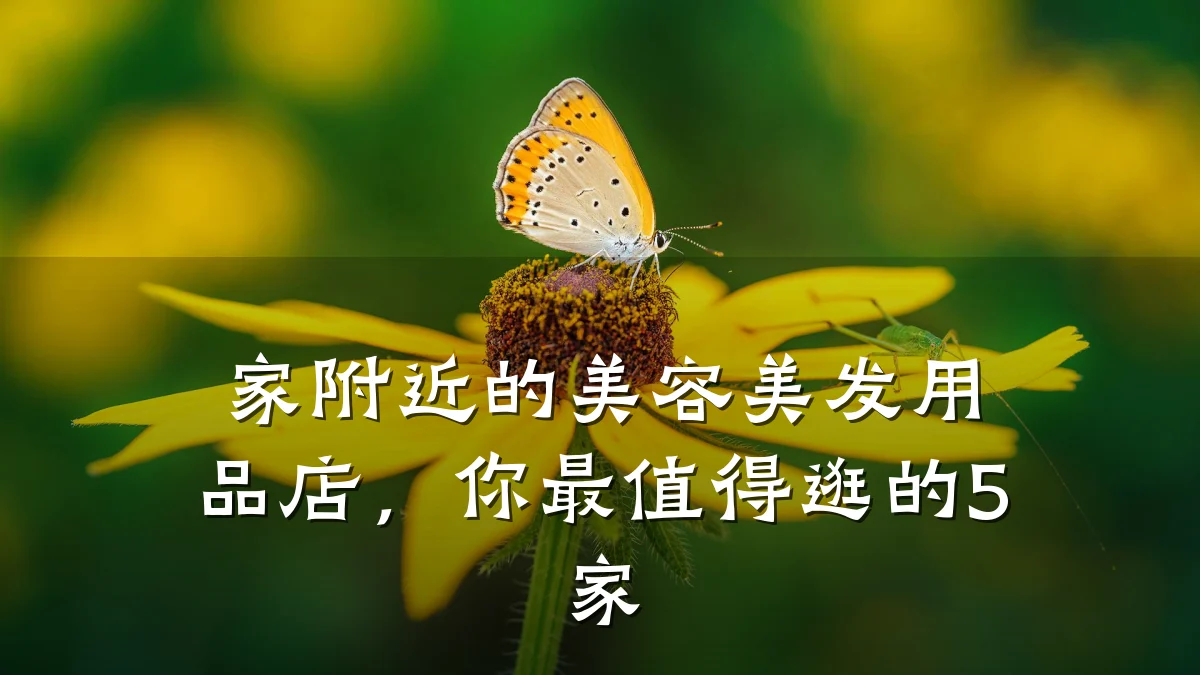 家附近的美容美发用品店,你最值得逛的5家